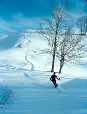 Bertrand, environs de Valloire